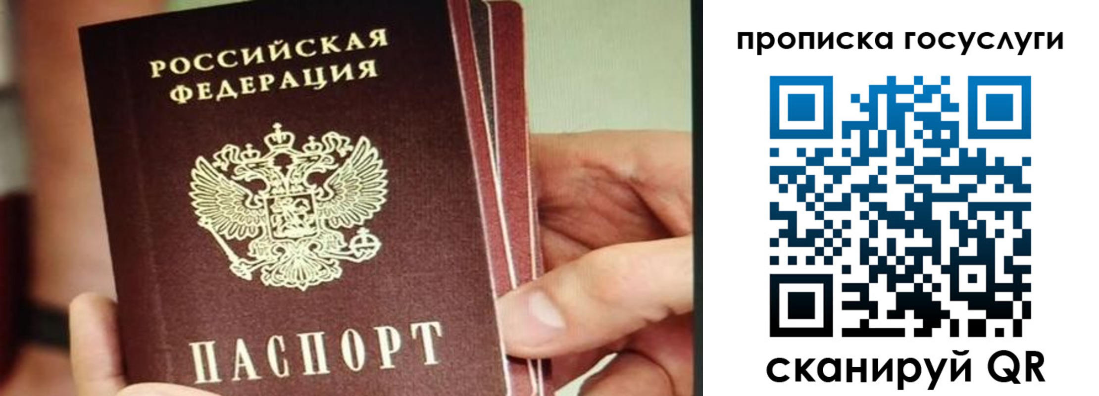 пропишу в квартире в Александрове